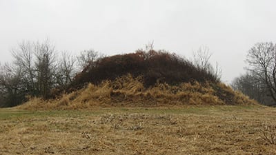 homer-hvac (1) The Dixon Mound in Homer, Ohio.