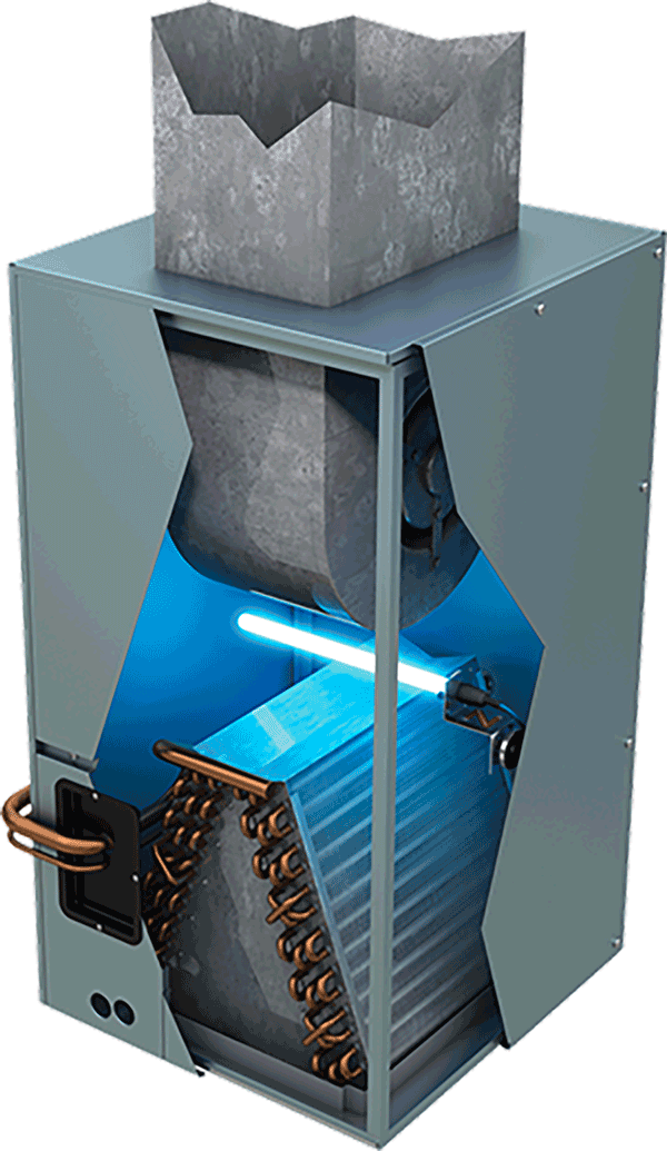 UV-light-on-evaporator-coil-in-central-AC uv light in newark